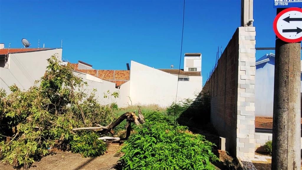 Buracos, árvores e cabos espalham sinais de abandono em bairro de Marília