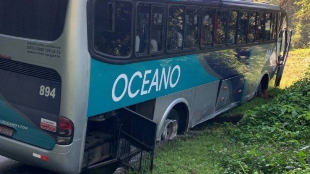 RJ: homem é preso após furtar ônibus em Paraty e subir no canteiro