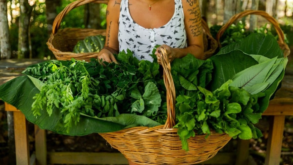 Bruno Pinheiro Produtores de alimentos orgânicos da região se unem no Organic Festival