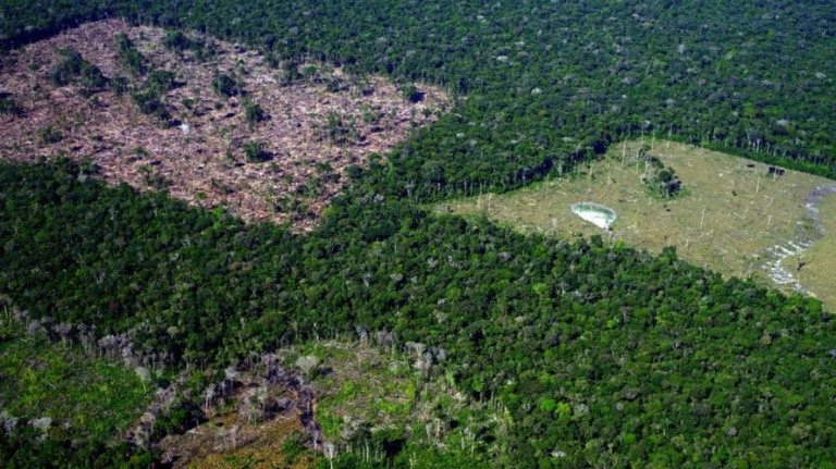 Pesquisa mostra relação entre diminuição da pobreza e do desmatamento