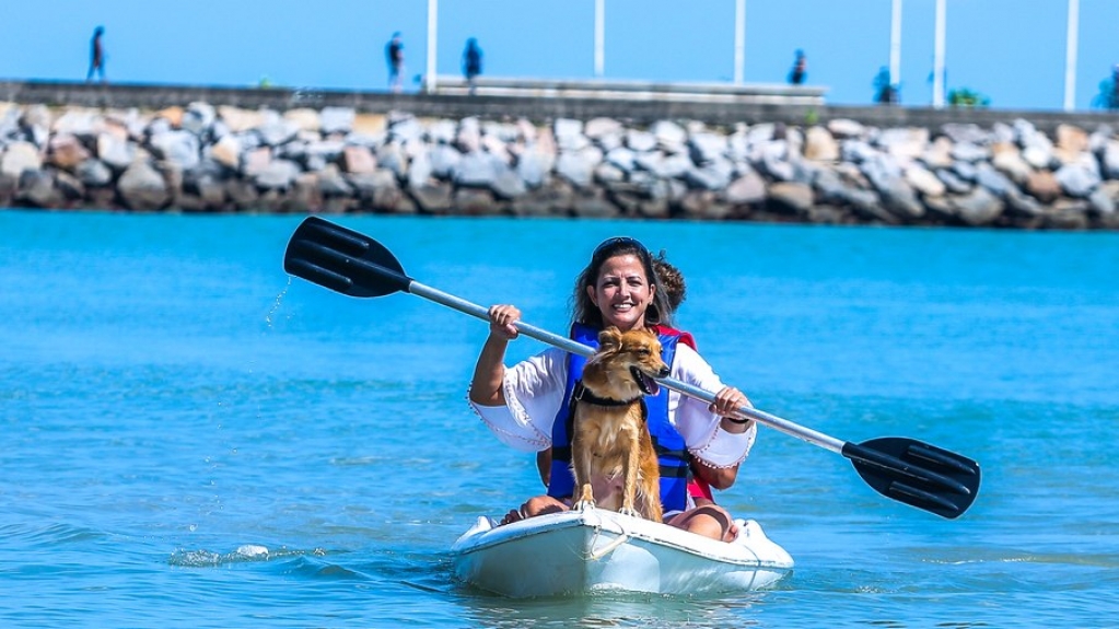 Fortaleza define medidas pet friendly para turistas com animais