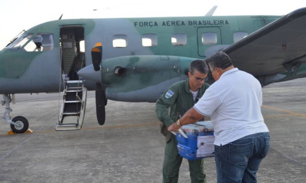 Avião da FAB recolheu órgãos em Marília para transplantes em SP