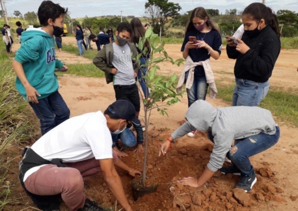 Começa plantio de árvores no corredor verde entre Marília e Vera Cruz