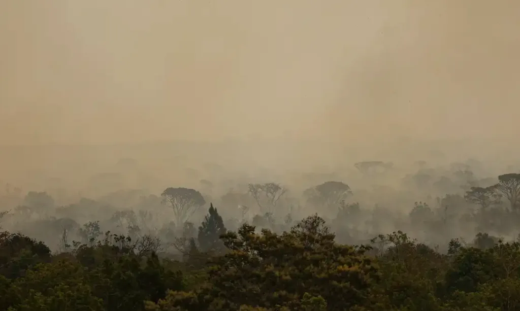 Queimadas de 2024 atingem maior volume em dez anos