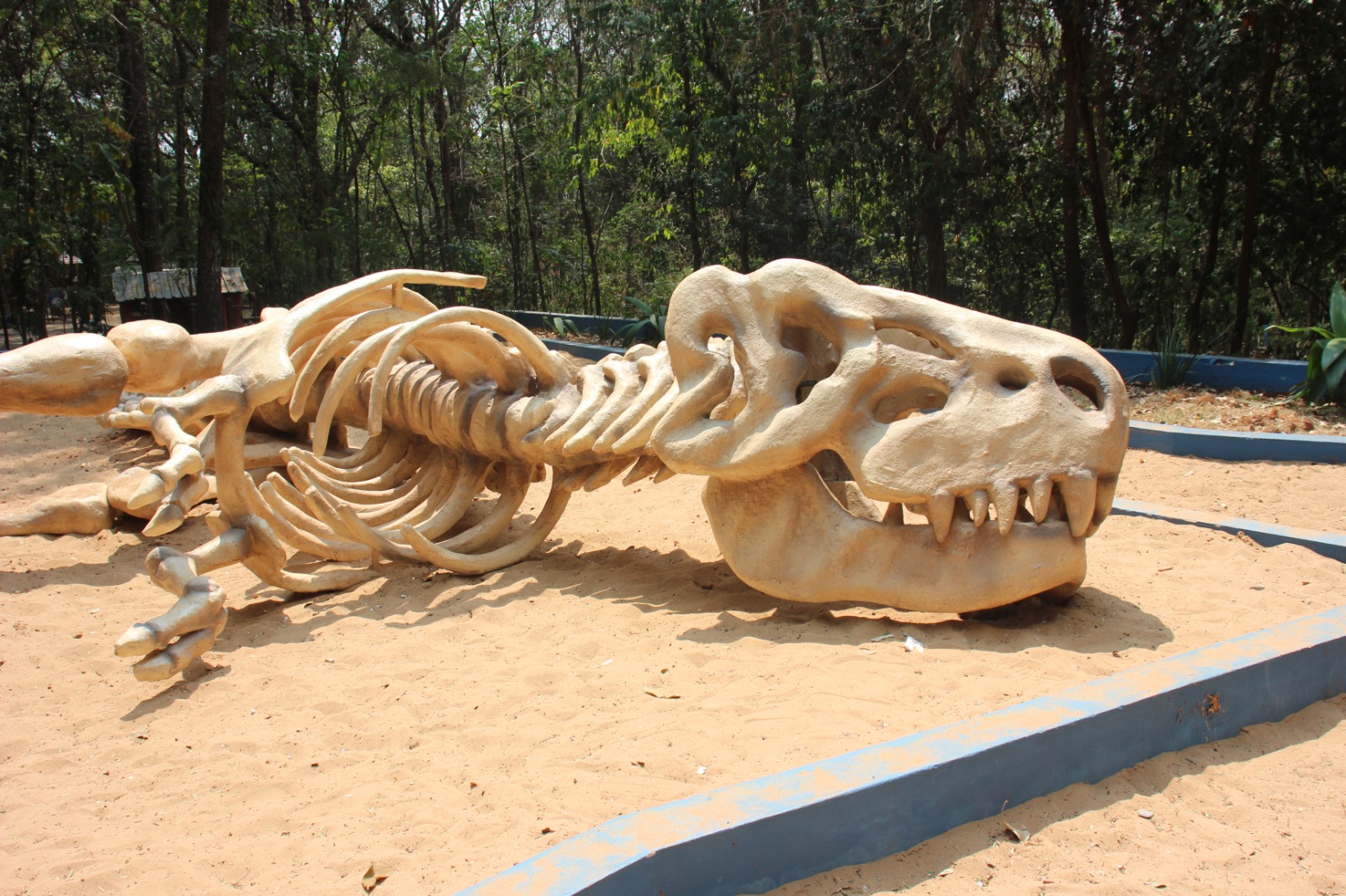 Dinossauros põem Marília em roteiro de turismo do Estado