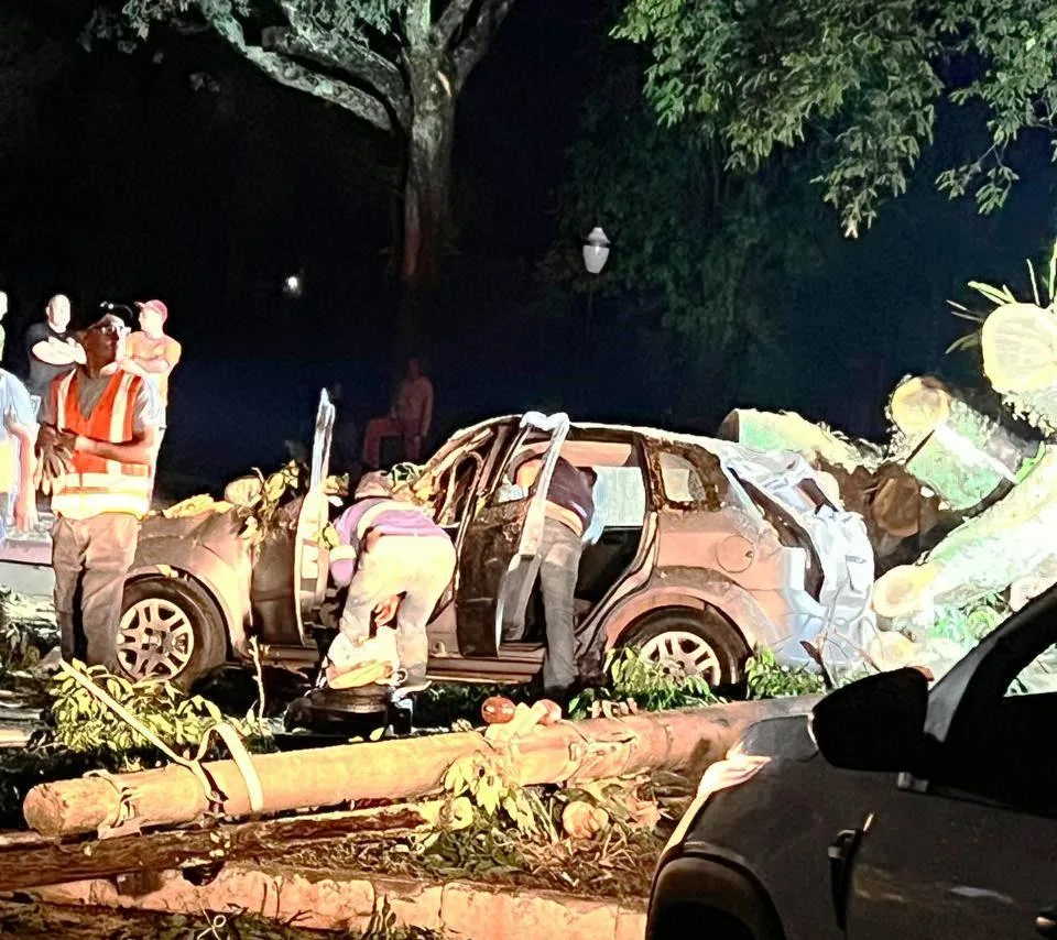 Árvore atingiu carro e causou; queda de energia e sustos na cidade