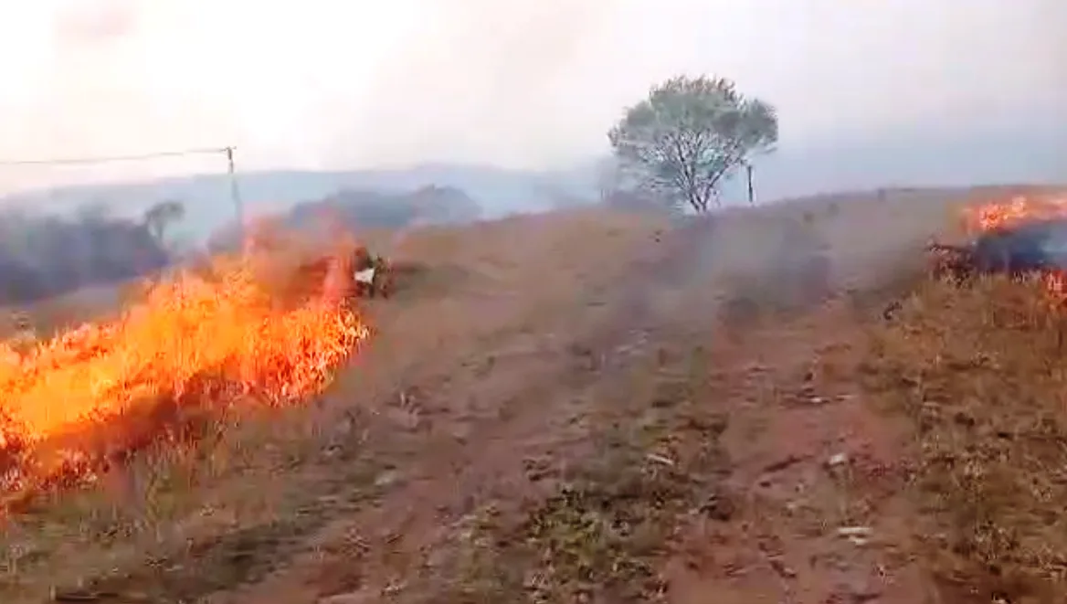 Imagens divulgadas por empresa mostram queimada em zona rural próxima à estação