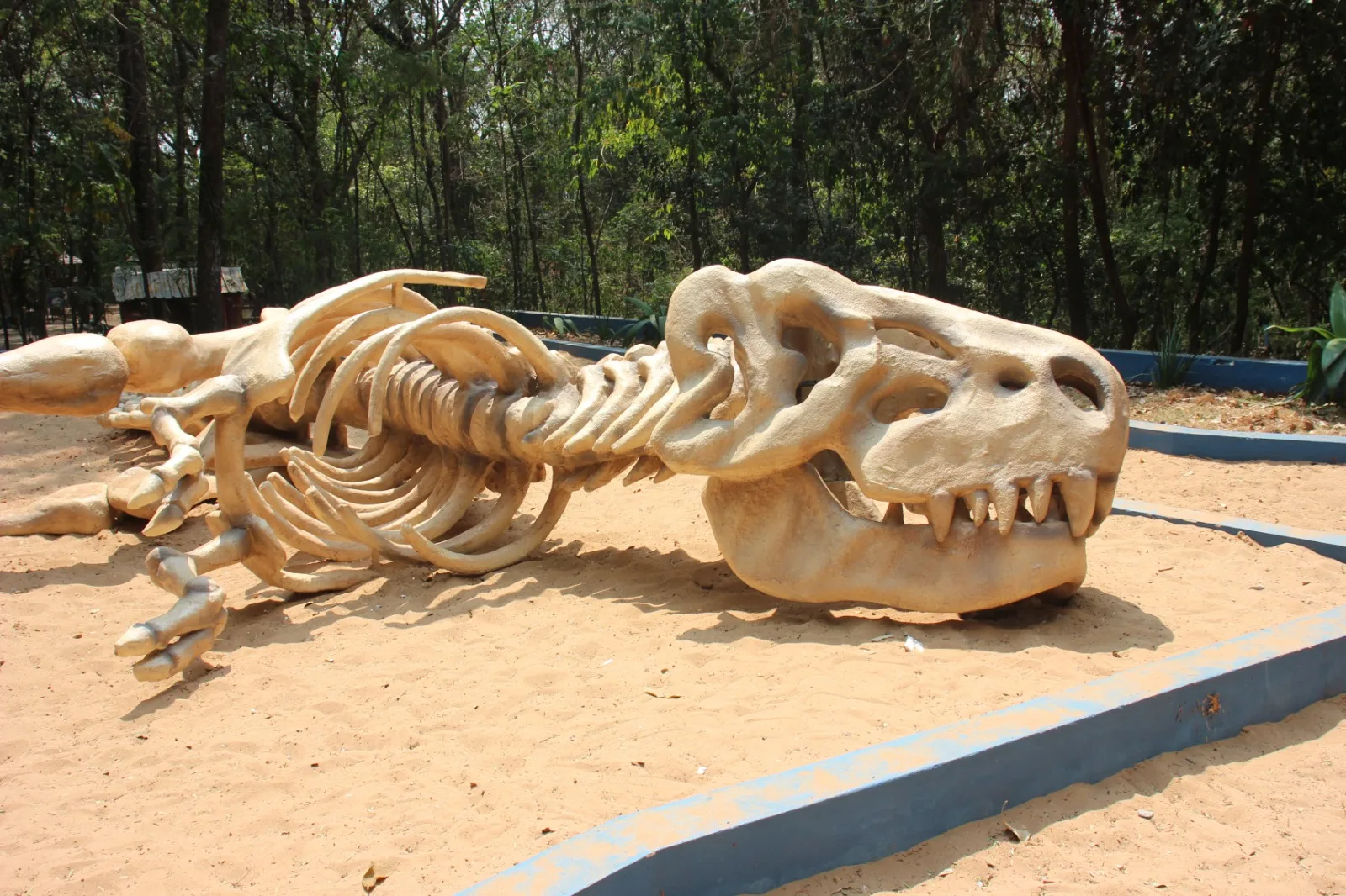 Réplica de esqueleto de tiranossauro instalada no bosque de Marília