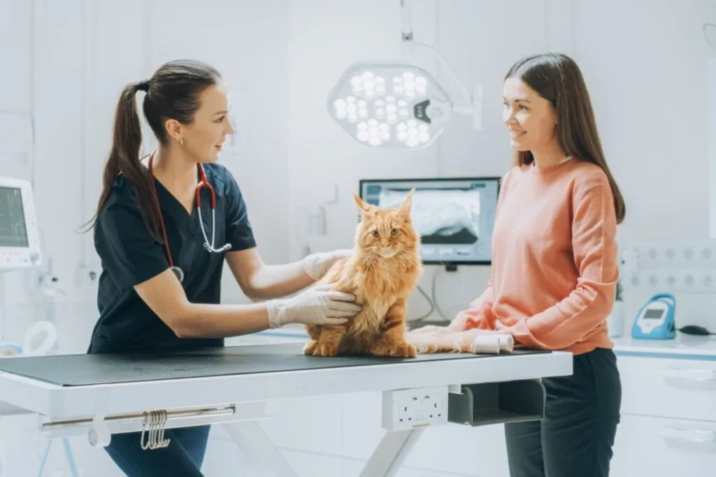 Veja como proteger seu animal dos riscos de envenenamento