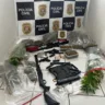 DIse flagra plantas de maconha e armas em casa de bairro nobre