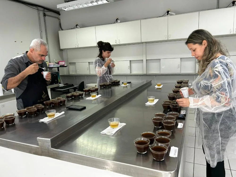 Analisa sensorial será nova fase concurso Qualidade do Café em etapa de prova