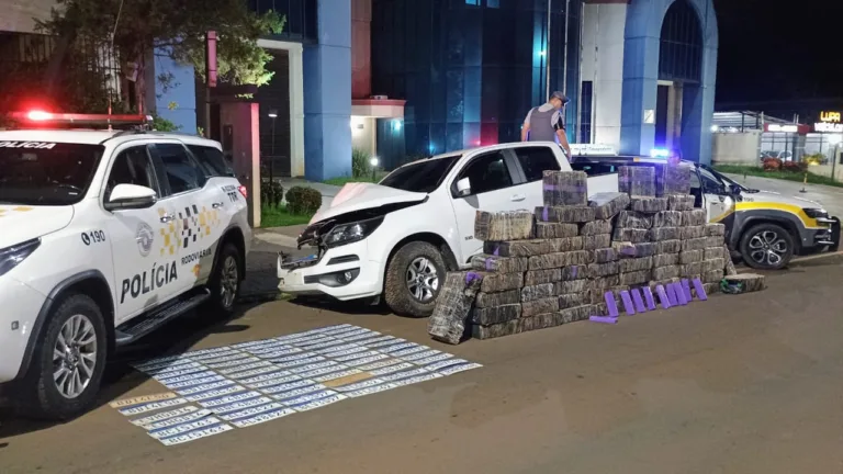 Polícia apreende maconha e placas de carro