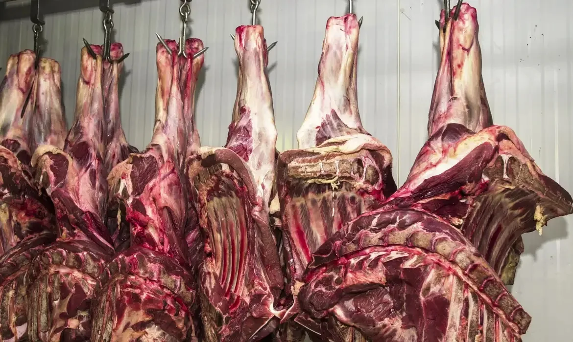 China investiga importação de carnes e inclui o Brasil