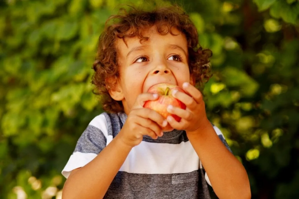 5 dicas para manter a boa alimentação das crianças nas férias