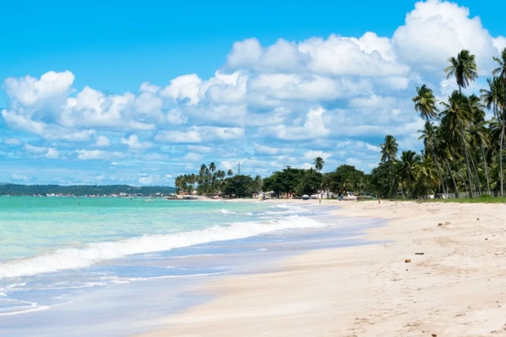 3 praias deslumbrantes para conhecer em Maragogi