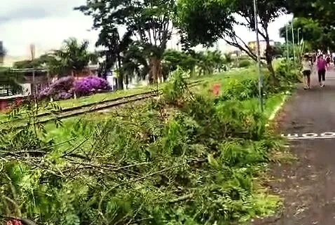 ‘Limpeza’ retira sinalização antiga e corta vegetação  ao lado de ferrovia