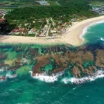 4 praias incríveis para conhecer em Porto de Galinhas