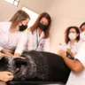 Unimar abre inscrições para Aprimoramento Profissional em Medicina Veterinária 