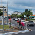 ‘Limpeza’ retira sinalização antiga e corta vegetação ao lado de ferrovia