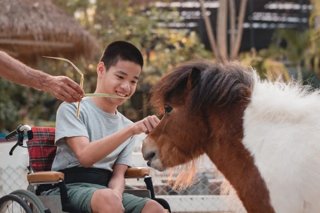 Veja os benefícios dos animais para a saúde mental