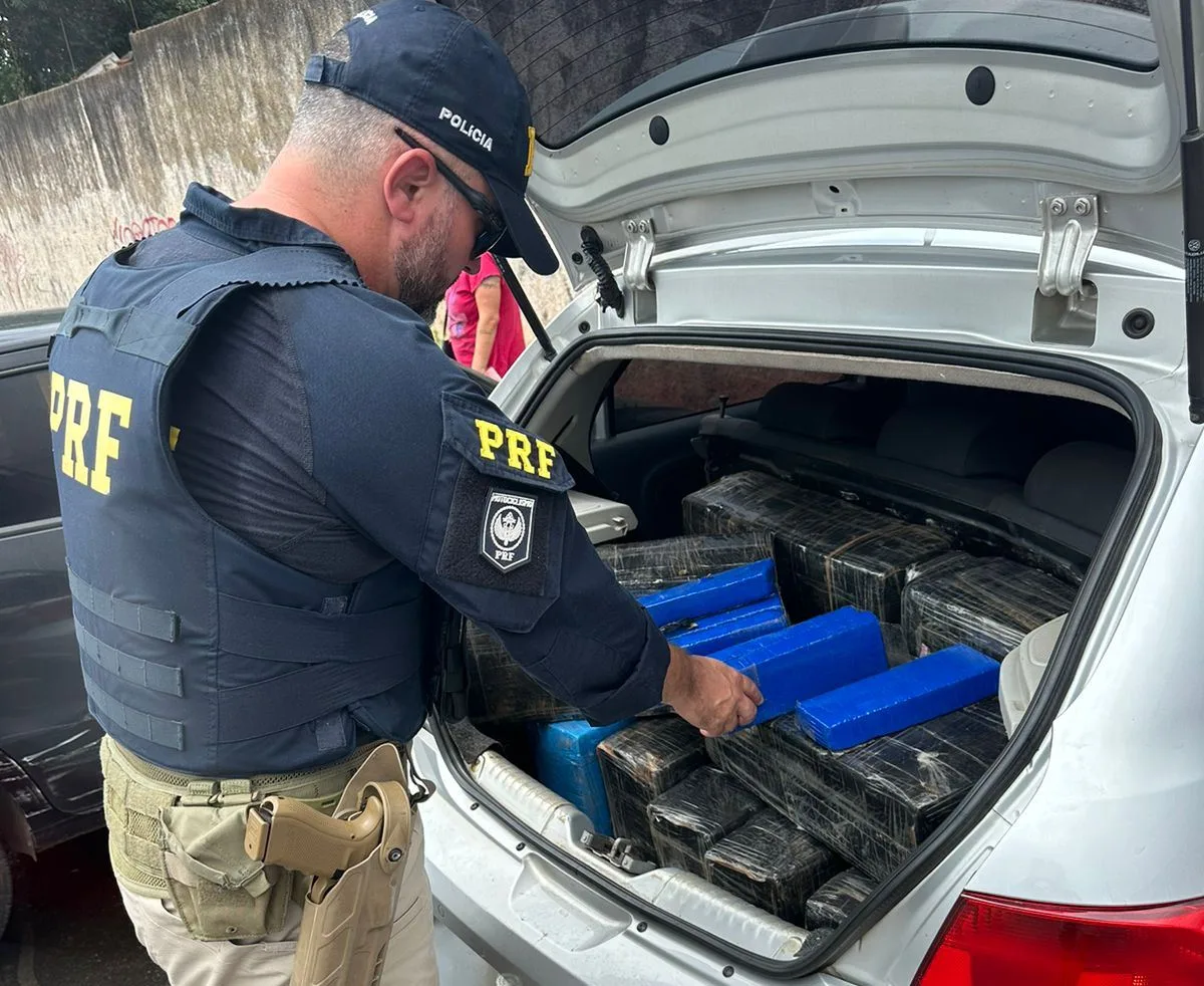 Ação conjunta de policias apreende maconha e prende cinco em Marília