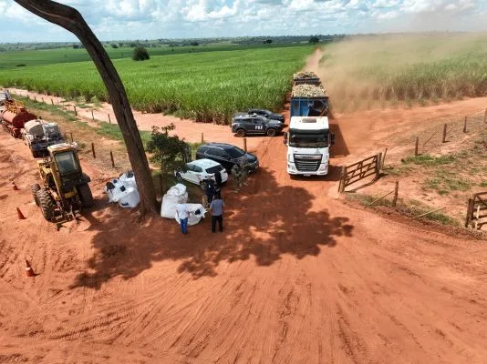 Força-tarefa flagra plantio para usinas sem banheiro ou água e refeitório