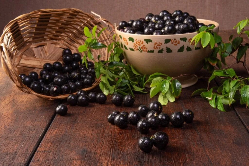 7 benefícios da jabuticaba para a saúde e como usá-la