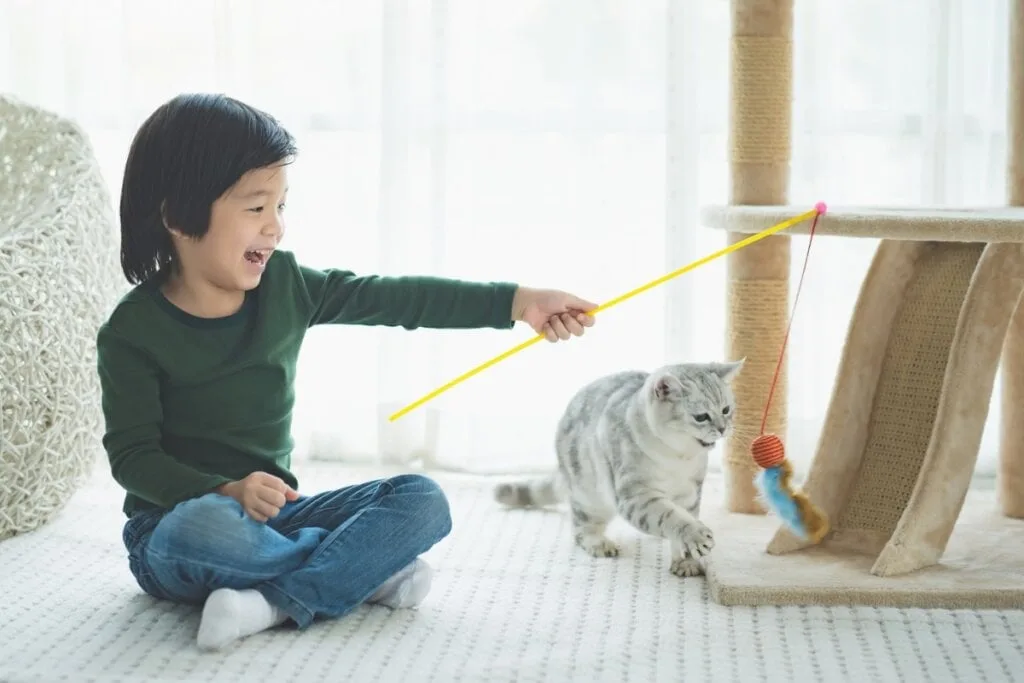 Veja como identificar e reduzir o estresse nos gatos