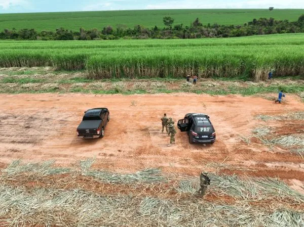 Força-tarefa flagra plantio para usinas sem banheiro ou água e refeitório