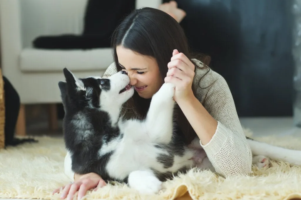 7 semelhanças entre humanos e cachorros 