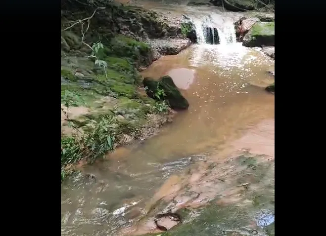 Córrego com cachoeiras tem novo despejo de esgoto em área nobre