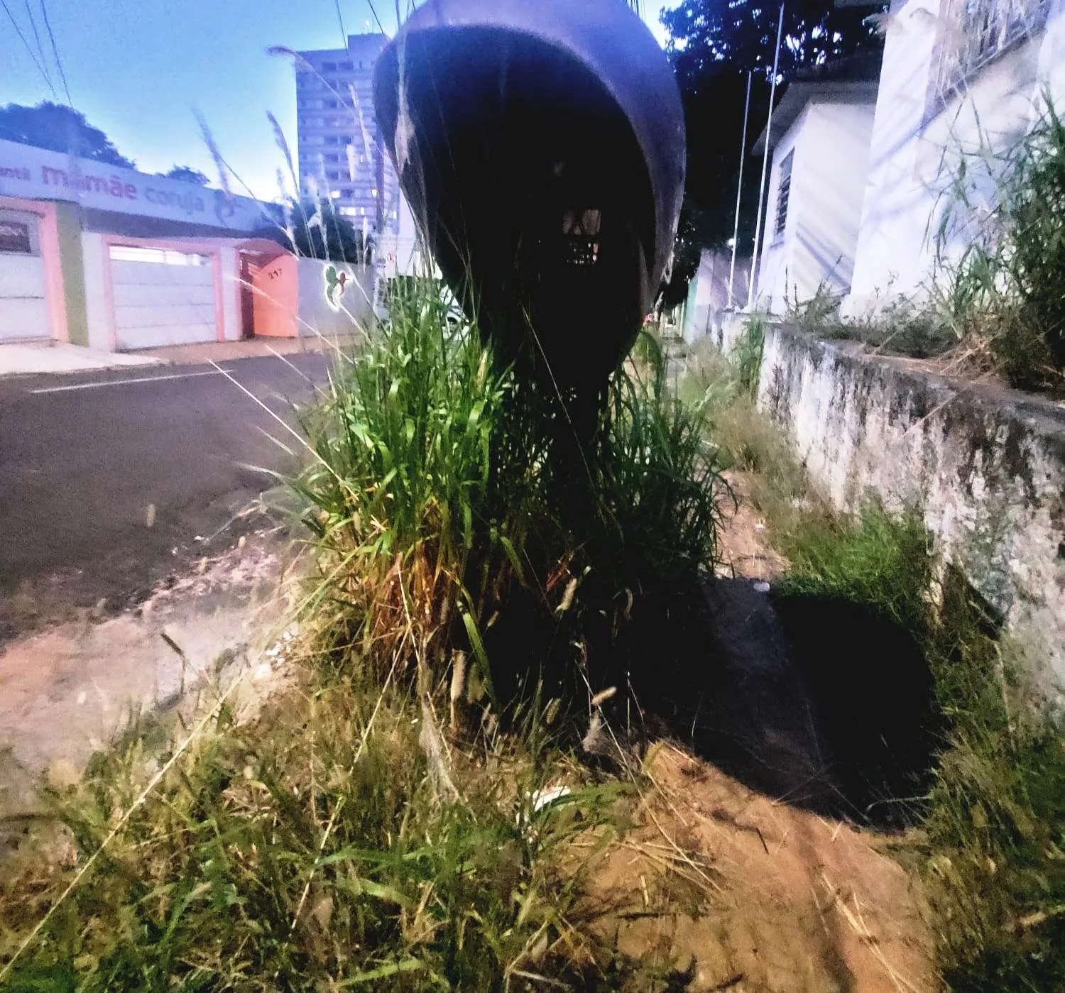 Limpeza esbarra em pontos de descontrole no centro de Marília