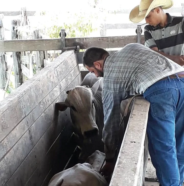 Grupo BS vira referência no suporte à pecuária e mundo agro na região