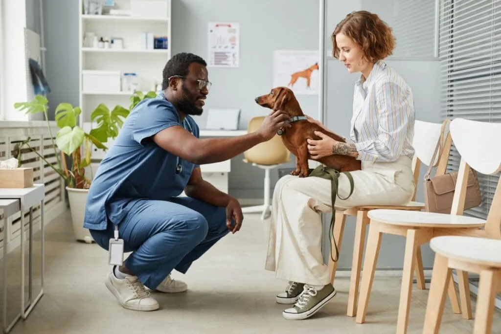 Veja as causas e os sintomas da depressão em cachorros