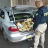 PRF de Ourinhos prende quatro por contrabando de cigarros