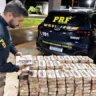 Fiscalização apreende 223kg de pasta base de cocaína na BR-153