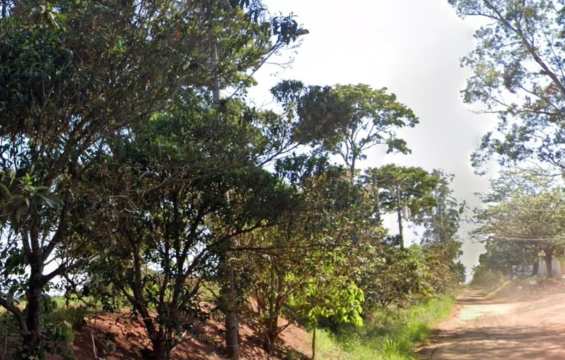 Fazenda sofre invasão e furtos em Avencas