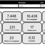 Pequenas cidades inflam perdas com dengue na região