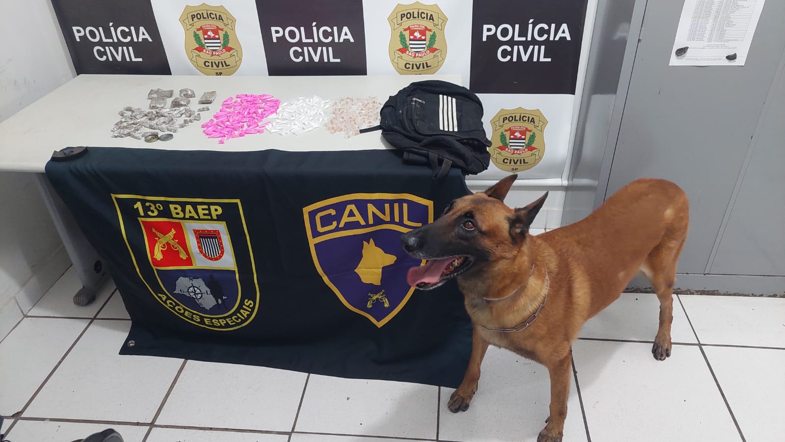 Dise e Baep prendem dois com apoio de cão farejador em mata de Marília