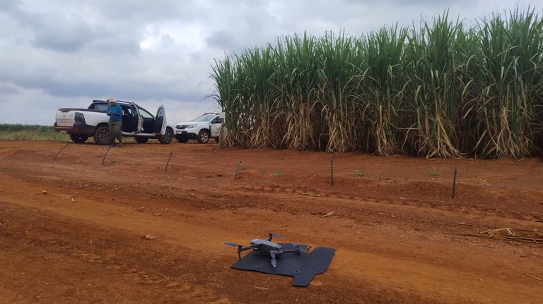 Agricultura lança fiscalização de lavouras com drones em São Paulo