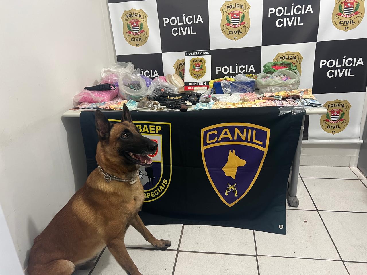 Cão revela drogas e Dise prende pai e filho por tráfico