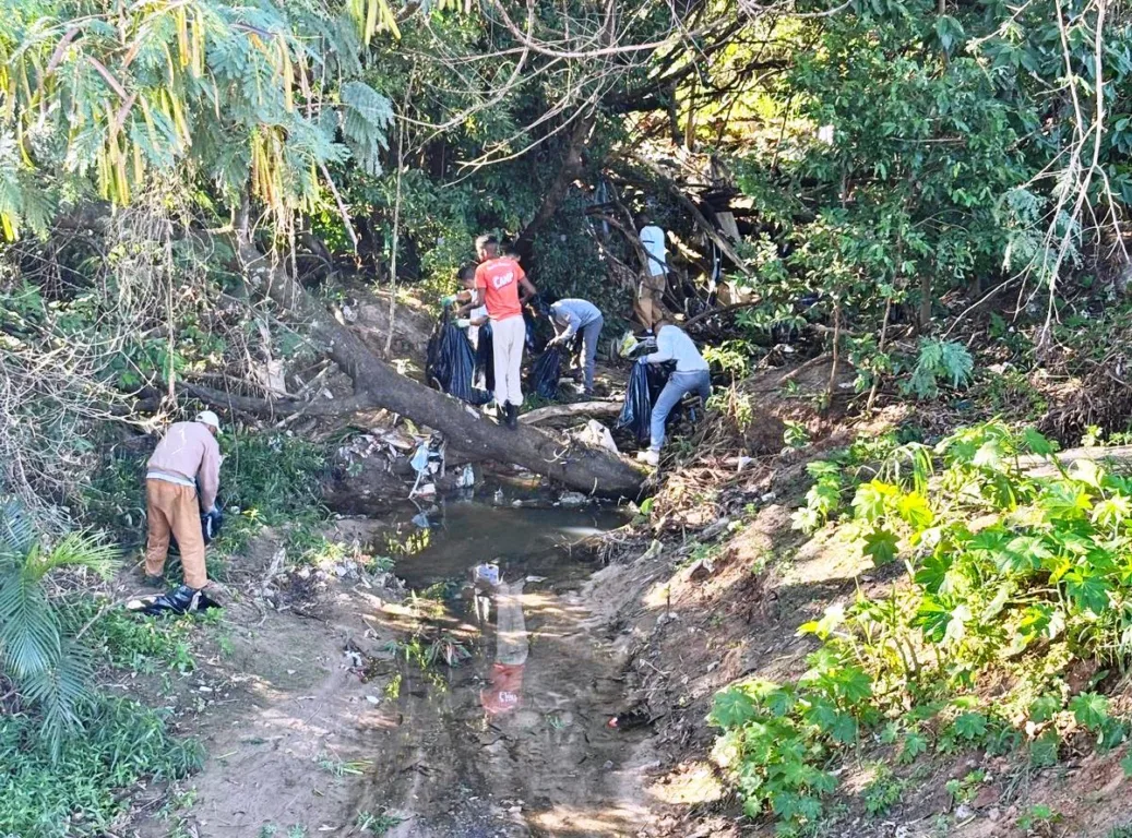 Limpeza recupera Córrego do Palmital e quebra tabu na zona norte