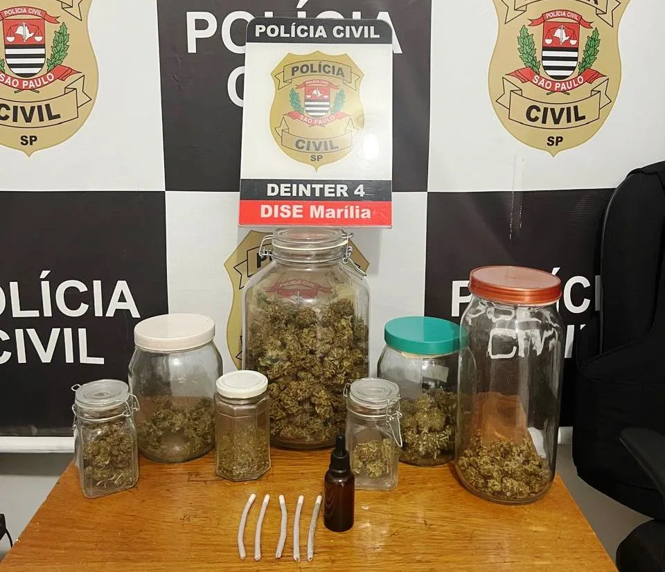 Dise prende idoso com pés de maconha e cannabidiol