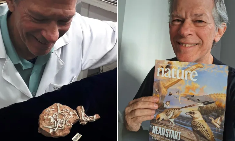 Museu recebe revista Nature com fóssil de Marília na capa