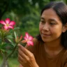 A rosa-do-deserto avisa quando vai florescer com 2 sinais sutis