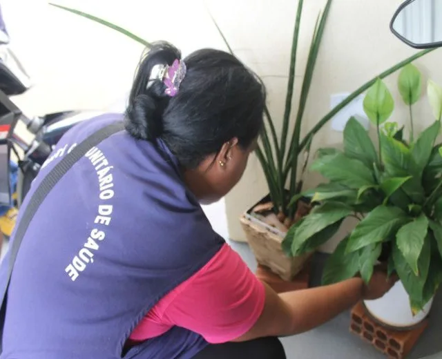 Cai índice de infestação do Aedes
