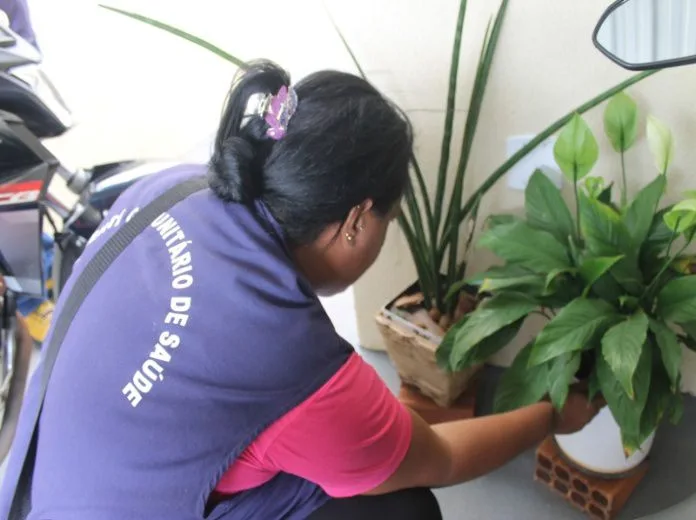Cai índice de infestação do Aedes