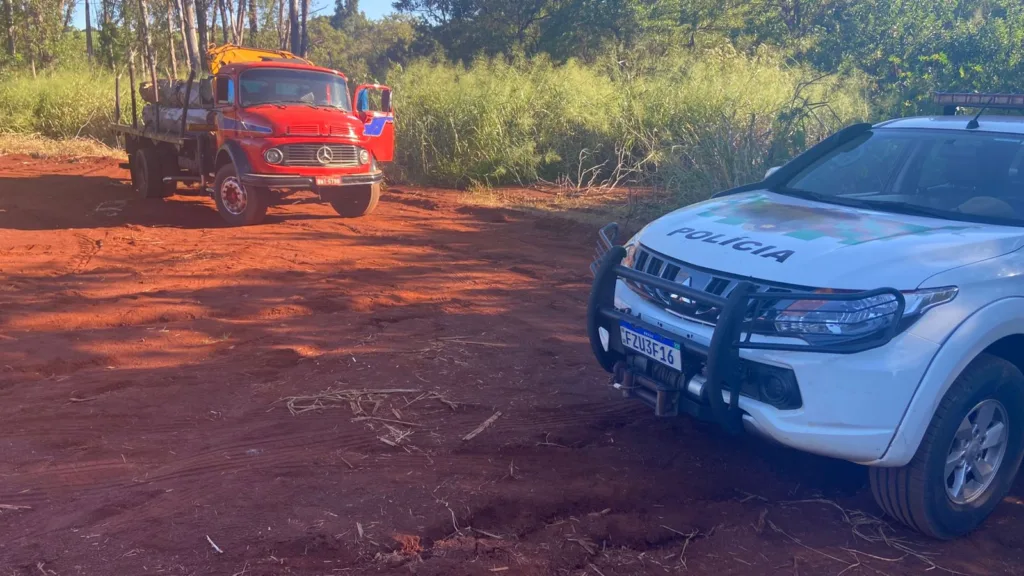 Fazenda tem invasão para corte de árvores e furto em Chavantes Fazenda tem invasão para corte de árvores e furto em Chavantes