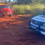 Fazenda tem invasão para corte de árvores e furto em Chavantes