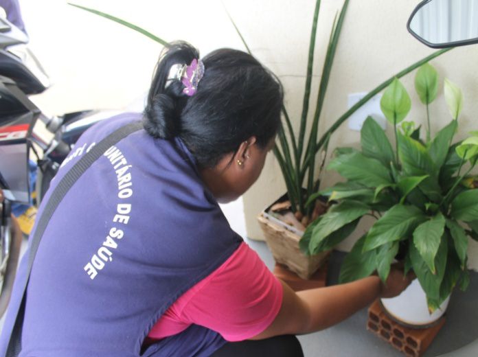 Cai índice de infestação do Aedes